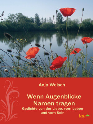 cover image of Wenn Augenblicke Namen tragen